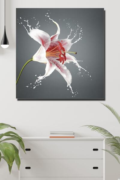 Limitless Design Εκτύπωση HD σε καμβά