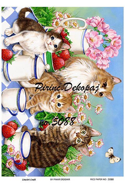 LİNEART Lineart Pirinç Dekopaj Kağıdı 29X42 No:L5088