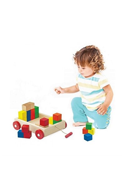 DuyuMarket Playwood Ahşap Renkli Küp Bloklu Araba