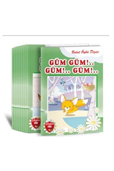 Çalışkan Arı Yayınları Çalışkan Arı Bulut Öykü Dizisi