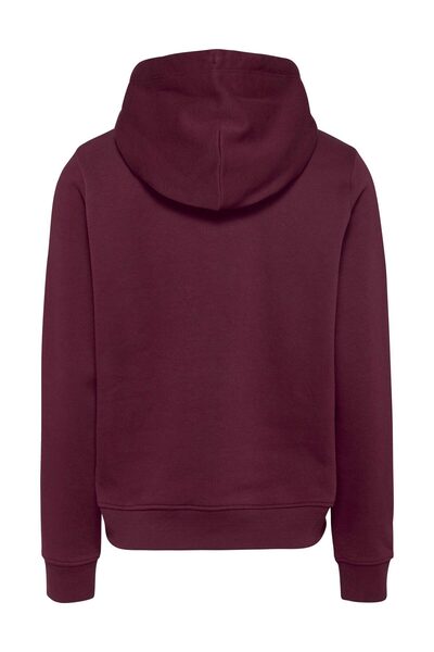 Tommy Hilfiger TJW REG LINEAR kapucnis pulóver