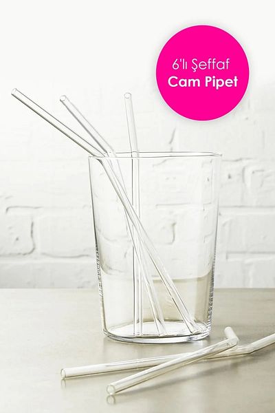 Tanemce 6 Transparent Glass Straws - Inclined and Useful