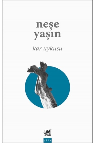 Ayrıntı Yayınları Kar Uykusu