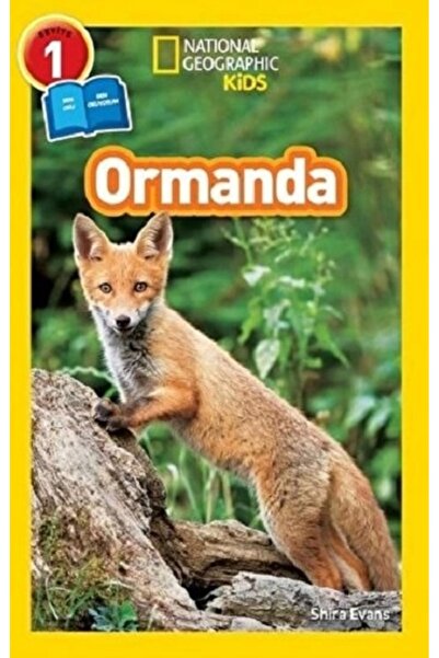 Beta Kids National Geographic Kids - Seviye 1 - Örümcekler
