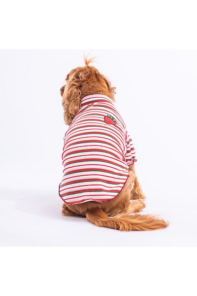 Pawstar Fragola Dog Sweati Dog Clothes Cat Clothes