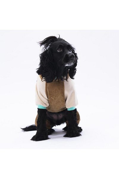 Pawstar Camel Salopet Cat Dog Jumpsuit Cat Dog Outfit