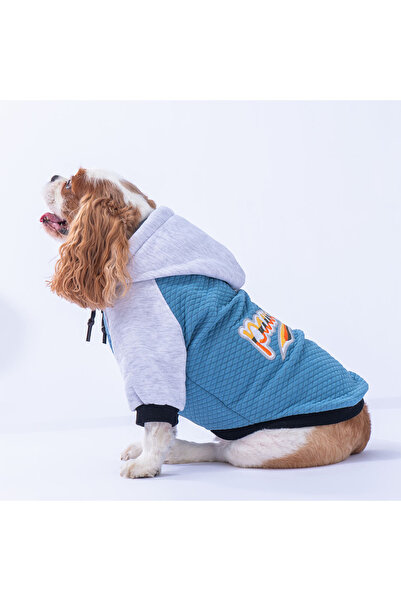 Pawstar Mavi PS Desing Kedi Köpek Ceketi Kedi Köpek Kıyafeti Kedi Köpek Elbisesi