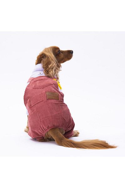 Pawstar Rose Salopet Cat Dog Jumpsuit Cat Dog Outfit