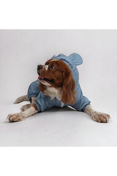 Pawstar Indigo Aplysia Jumpsuit-Coat Raincoat Cat Dog Outfit for Small and Medium Breeds