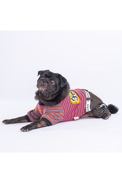 Pawstar Indigo Foodie Dog Jumpsuit Dog Outfit Cat Outfit