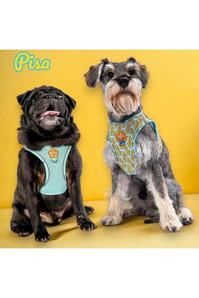 Pawstar Pisa 2-Piece Air-mesh Dog Collar Cat Collar Dog Collar