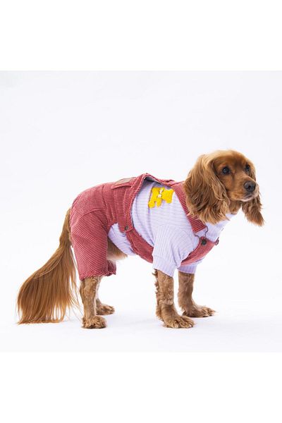 Pawstar Rose Salopet Cat Dog Jumpsuit Cat Dog Outfit
