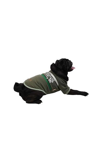 Pawstar Green Baseball Jacket Sweat Cat Dog Jacket Cat Dog Outfit