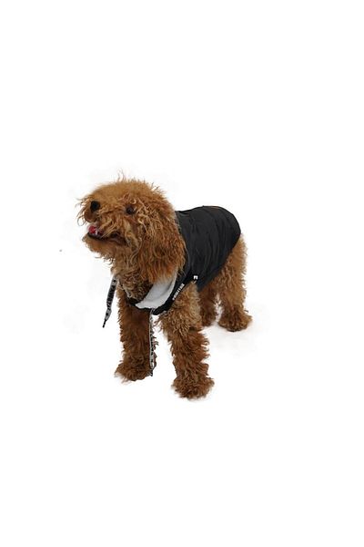 Pawstar Black Sport Anorak Vest for Small and Medium Breeds Cat Dog Outfit