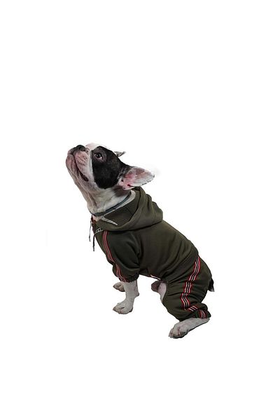 Pawstar Khaki Tuta Jumpsuit Cat Dog Jumpsuit Cat Dog Outfit