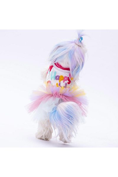 Pawstar Happy Birthday Cat Dog Dress - Outfit Designed