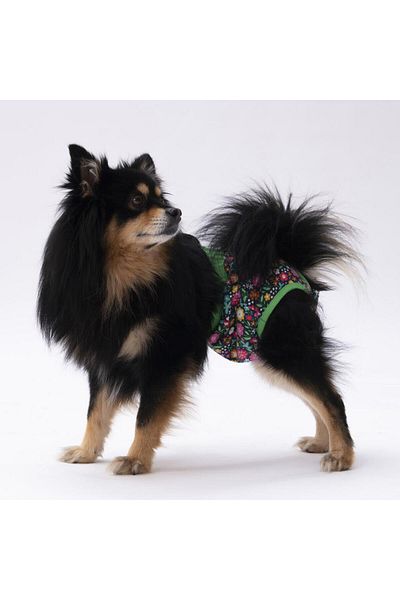 Pawstar Navy Blue Green Floral Patterned Cat-Dog Laundry - Menstrual Weight Clothing