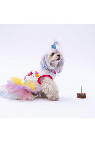 Pawstar Happy Birthday Cat Dog Dress - Outfit Designed