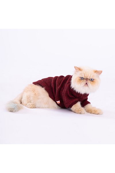 Pawstar Red Knitwear Small Breed Dog Sweati Dog Knitwear Dog Outfit Cat Outfit