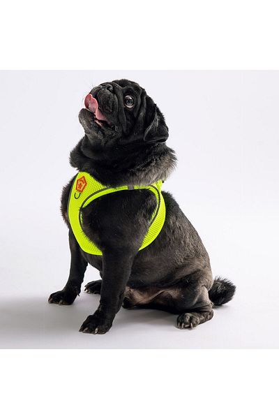 Pawstar Neon Yellow Air-mesh Chest Collar Cat Dog Chest Collar