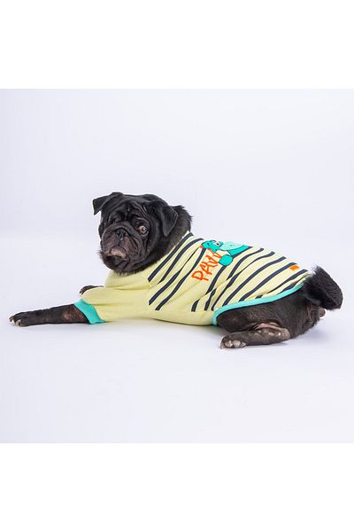 Pawstar Limoni Dino Star Dog Sweati Dog Outfit Cat Outfit