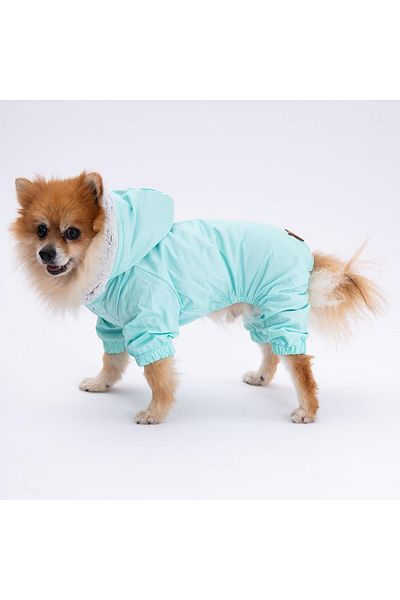 Pettrend Mint Fur Jumpsuit Raincoat Small Breed Raincoat Dog Apparel Dog Raincoat