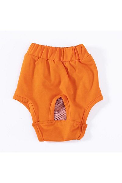 Pawstar Orange Cat-Dog Laundry - Menstrual Weight Clothing