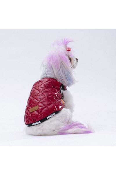 Pawstar Claret Red Moncler Vest for Small and Medium Breeds Cat Dog Outfit