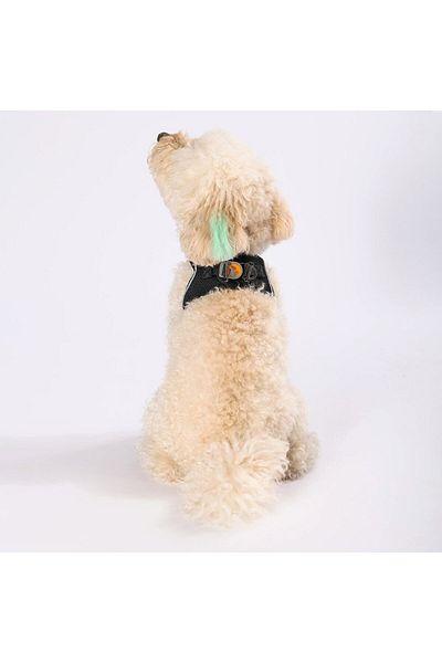 Pawstar Black Air-mesh Chest Collar Cat Dog Chest Collar