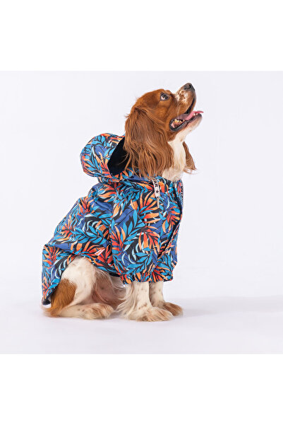 Pawstar Autumna Polarlı Köpek Montu Köpek Yağmurluk Köpek Kıyafeti Köpek Elbi...