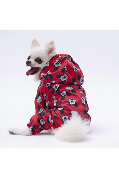 Pettrend Mickey Mouse Tulum Yağmurluk Köpek Kıyafeti Köpek Yağmurluğu