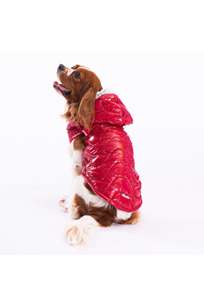 Pawstar Kırmızı Light Wave Anorak Yelek Köpek Yeleği Köpek Kıyafeti Köpek Yağ...