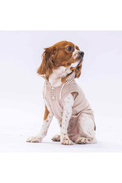 Pawstar Beige Gingham Cat Dog T-Shirt - Hooded Outfit