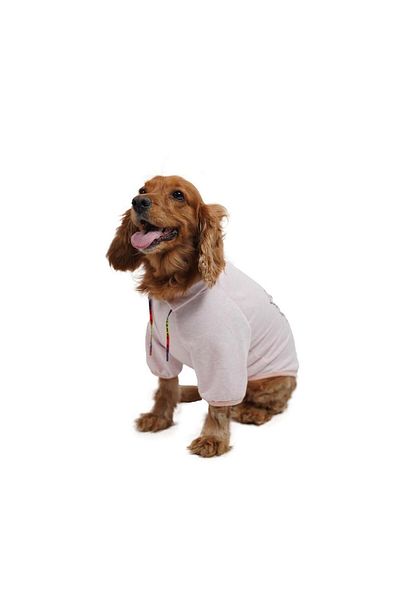 Pawstar Pink Don't Panic Sweat Cat Dog Sweat Cat Dog Outfit