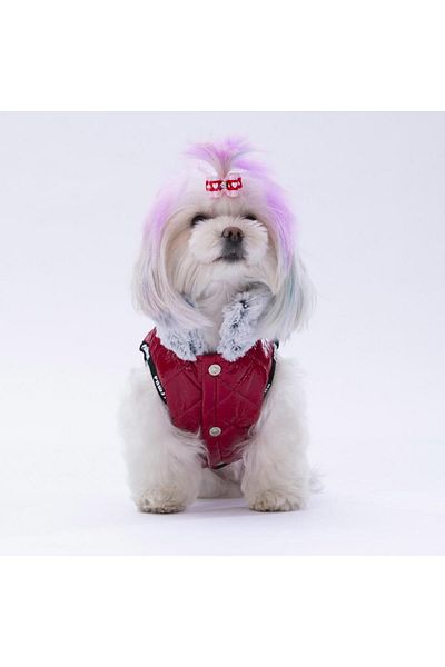 Pawstar Claret Red Moncler Vest for Small and Medium Breeds Cat Dog Outfit
