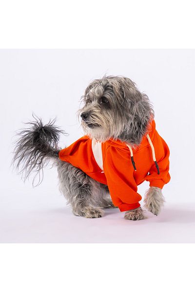 Pawstar Orange Cute Dog Hoodie Dog Sweat Dog Outfit Cat Outfit