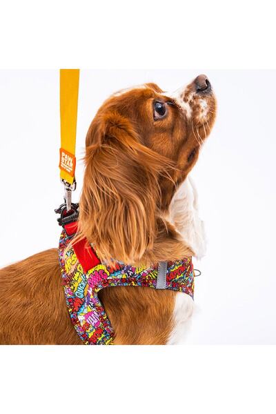 Pawstar Wow Air-mesh Göğüs Tasması Kedi Köpek Göğüs Tasması
