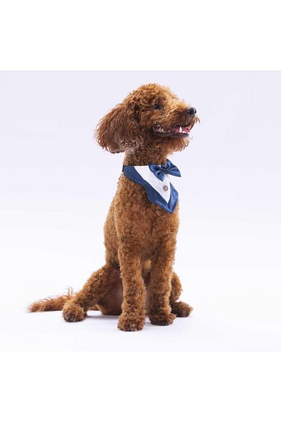 Pawstar Tuxedo Navy Blue Cat Dog Scarf Pet Bandana