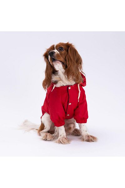 Pettrend Red Coat Dog Coat Dog Apparel Dog Raincoat (Small-Large Breeds)