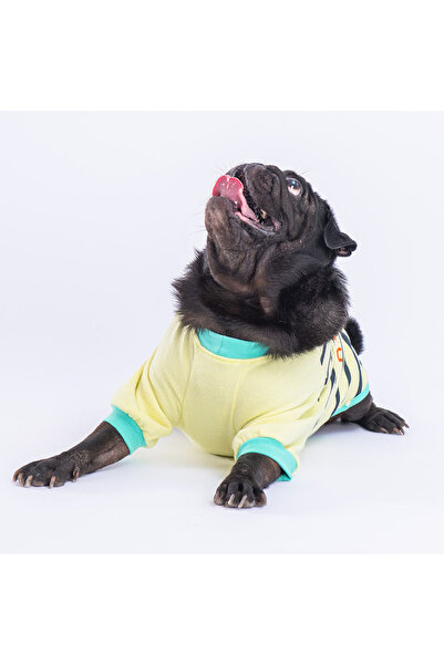 Pawstar Limoni Dino Star Köpek Sweati Köpek Kıyafeti Kedi Kıyafeti
