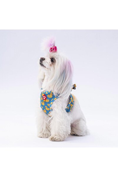 Pawstar Ducks Air-mesh Göğüs Tasması Kedi Köpek Göğüs Tasması