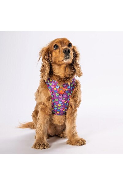 Pawstar Hearts Air-mesh Dog Collar