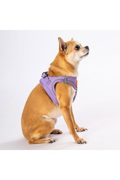 Pawstar Lilac Air-mesh Chest Collar Cat Dog Chest Collar
