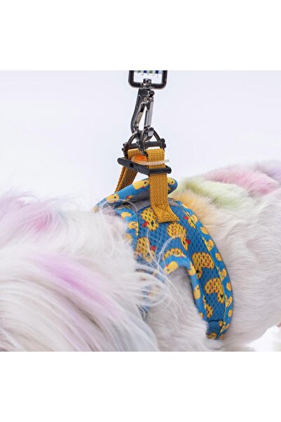 Pawstar Ducks Air-mesh Göğüs Tasması Kedi Köpek Göğüs Tasması