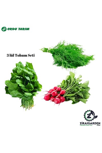 Bursa Tohumculuk Bursa Tohum Bt Çiçek Dereotu-Cherry Belle Fındık Turp-Bu-Ter Tere Otu 3lü Tohum Seti