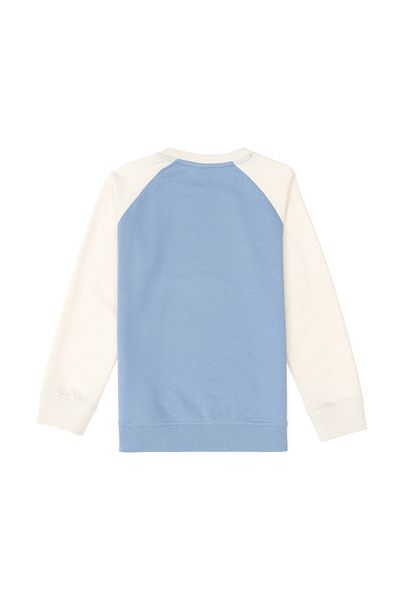 U.S. Polo Assn. Boy's Light Blue Crew Neck Sweatshirt 50293605 -Vr003