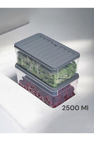 Nesto Home 2500 ml Deep Refrigerator - Set of 2 Organizer, Freezer and Microwave Storage Container 2X2500