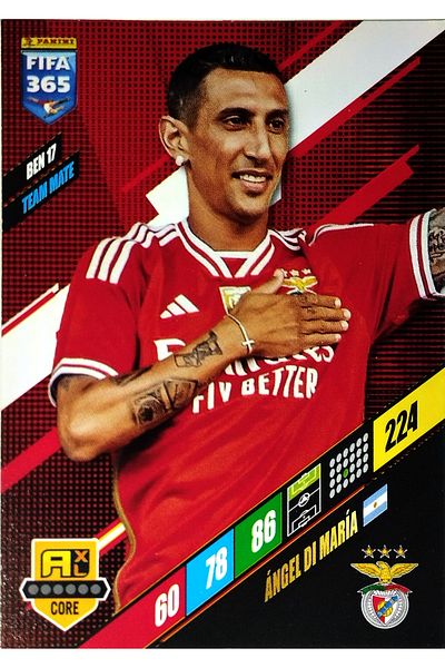 Panini Maria Angelikası - Panini Card