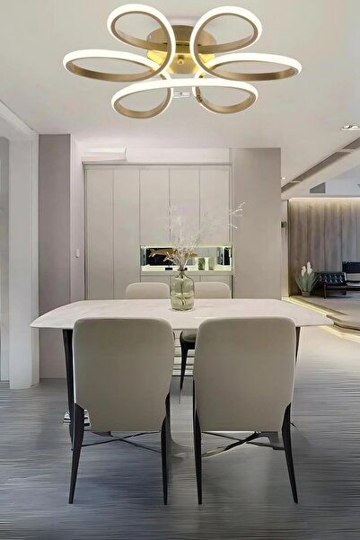 Linup Eskitme Renk Plafonyer Modern Beyaz Işık Ledli Salon Mutfak Hol Avize