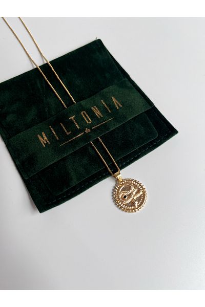Miltonia Snake Medallion Steel Necklace